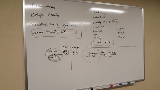 The 4 Forms of Anxiety - Anxiety Release Seminar, MN 1-15-19