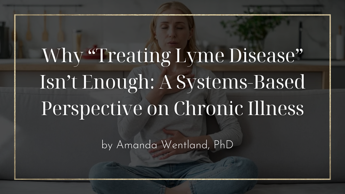 Why “Treating Lyme Disease” Isn’t Enough: A Systems-Based Perspective on Chronic Illness