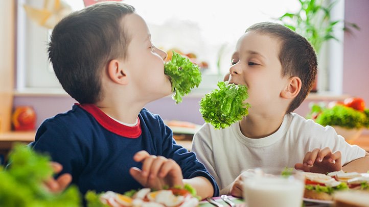 Non Carnivore Options For Your Little Dinosaur:  20+ Awesome Sources of Meat-less Protein