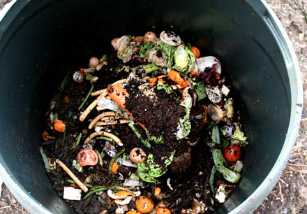 Compost, Not Wrappers