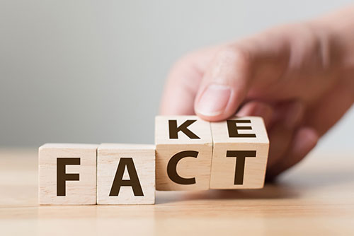 Food Becomes You