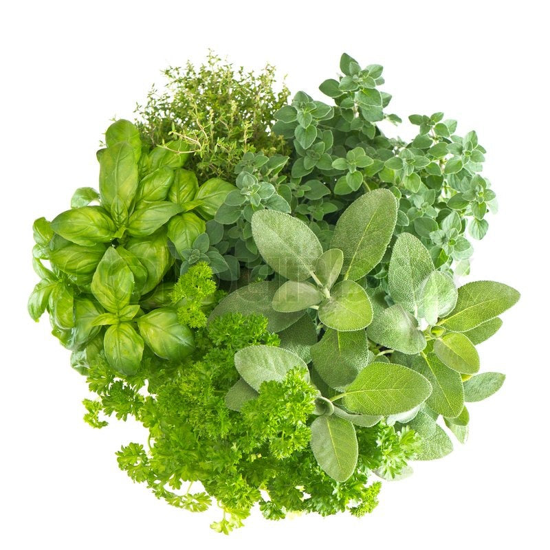 Food and Healing