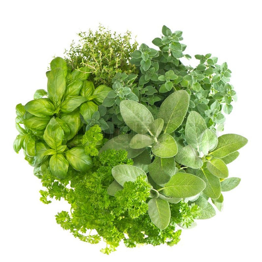 Food and Healing