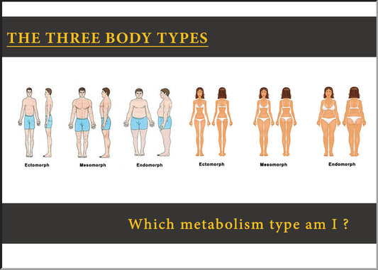 Discover Your Metabolic Type