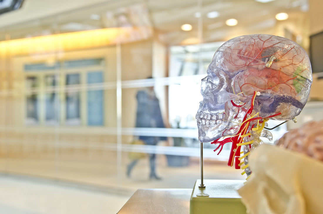Do I have a "Brain Allergy"?