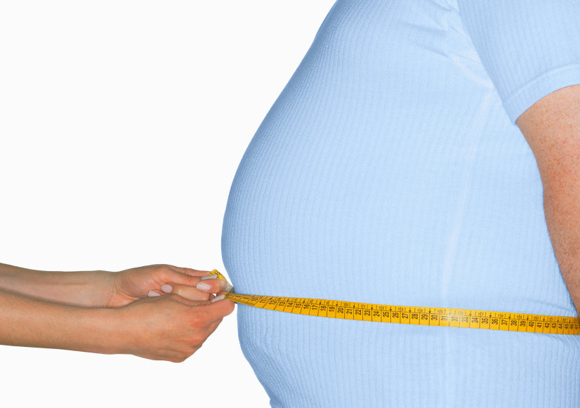 Metabolic Syndrome Management:  A Natural Understanding  E Book